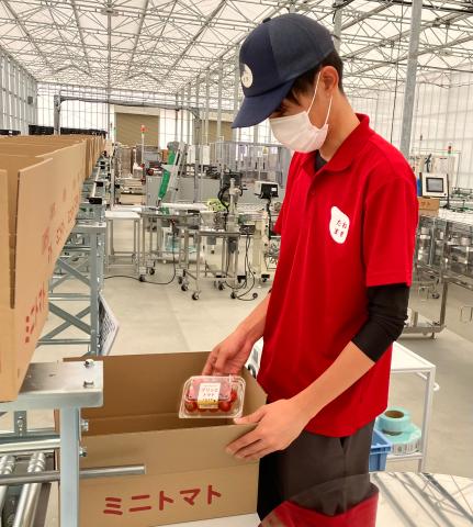 目指すは国内最大級のミニトマト生産拠点！
一緒に夢を叶えてみませんか？