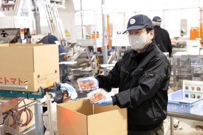 土を使わない栽培だから、汚れを気にせず作業できるのもポイントです！