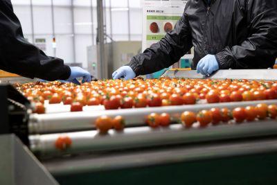 難しい作業はありません。
お気軽にご応募ください◎