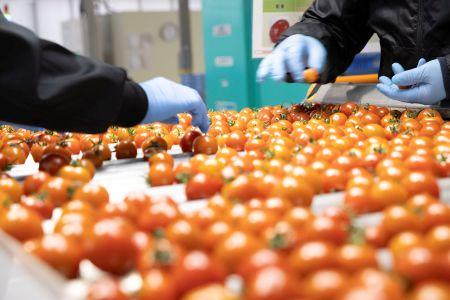 朝、子どもを送り出して家事を済ませ出勤→無理のない時間帯で働いて夕方前には帰宅。
そんな働き方も◎