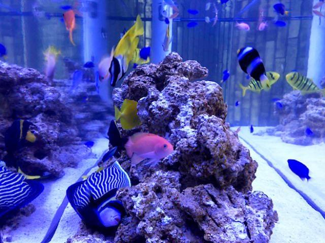 Ocean Produce オーシャン プロデュース のアルバイト情報 イーアイデム 松原市のその他軽作業 製造 物流求人 情報 Id Ocean Produce オーシャン プロデュース のアルバイト情報 イーアイデム 松原市のその他軽作業 製造 物流求人 情報 Id