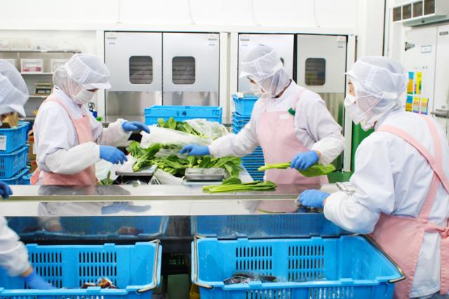 ＜食品加工＞◆週3日〜、1日3h〜OK！◆20〜50代活躍中◆4名の増員募集です！！食品加工・箱詰め作業（野菜のカット、軽作業他）