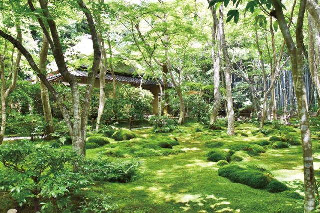 祇王寺の参拝受付、長期パート募集！！未経験者歓迎！明るい笑顔を待っています。祇王寺参拝受付スタッフ