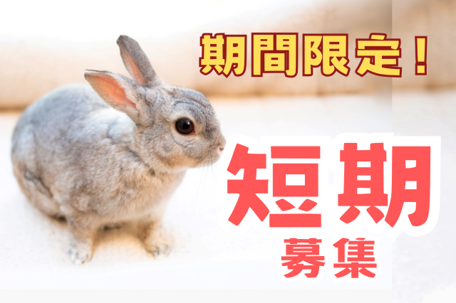 【短期】10月18日〜11月19日まで短期！乾燥はたばこの集荷作業集荷作業