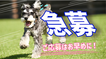 ◆希少案件！時給1350円！総合病院で医療器具の洗浄・消毒及び清掃のお仕事◆その他 (軽作業・物流系)
