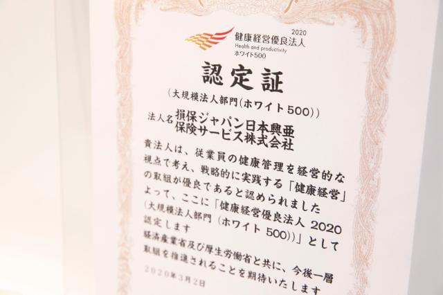 ジャパン パートナーズ 損保