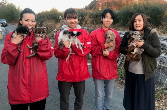 アミューズメントハウスのアルバイト パート 契約社員情報 イーアイデム 神戸市西区の一般 営業事務求人情報 Id A