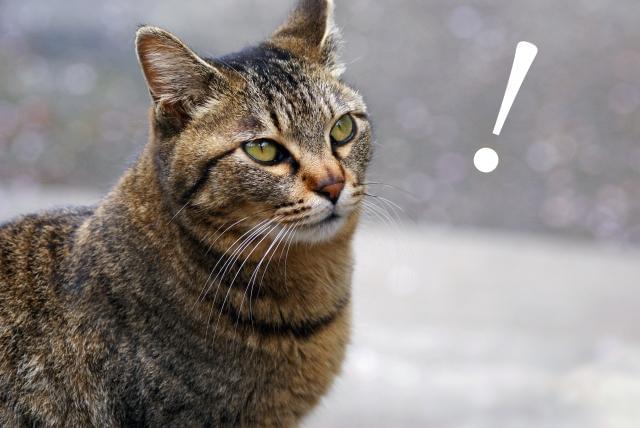 選べるシフト多数!友達同士OK
