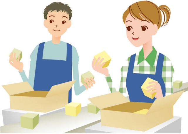 週1日からOK!朝の空き時間を活かせる野菜のピッキング作業