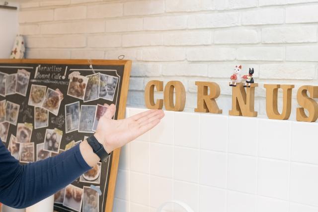 株式会社Cornus 東京