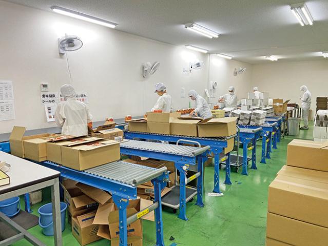20代〜50代の女性スタッフが活躍する
和気あいあいとした雰囲気の職場です。