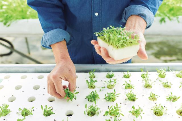 福祉×農業。支える喜びを、毎日の仕事に。これまで積み重ねてきた人生経験が、誰かの明日を支える力になる福祉事業・農作業のお手伝い