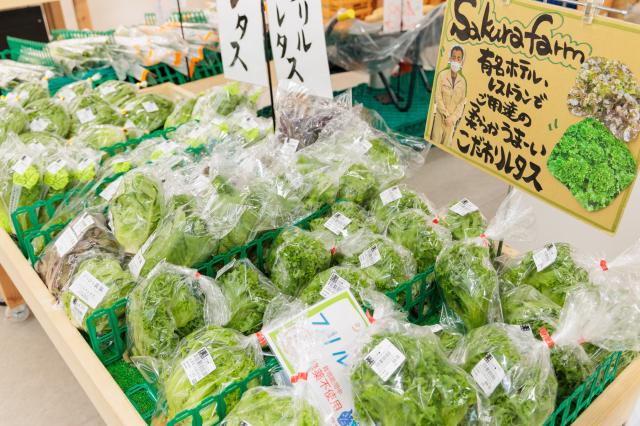 農産物直売所　旬の駅 大和郡山店