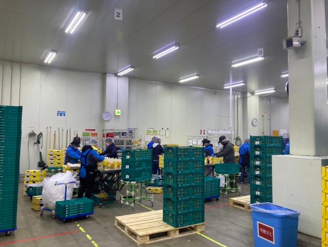 ジョブコレ株式会社