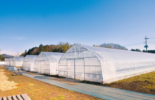 株式会社ＪＡグリーンとちぎ　生産資材事業本部