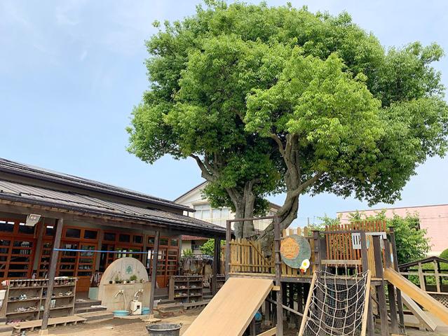 【夕方の時間外保育】15時〜19時の4時間勤務／週3日〜OK！扶養内OK！時間帯も相談に応じます。時間外保育での保育業務（夕方担当）
★4月〜勤務開始となります