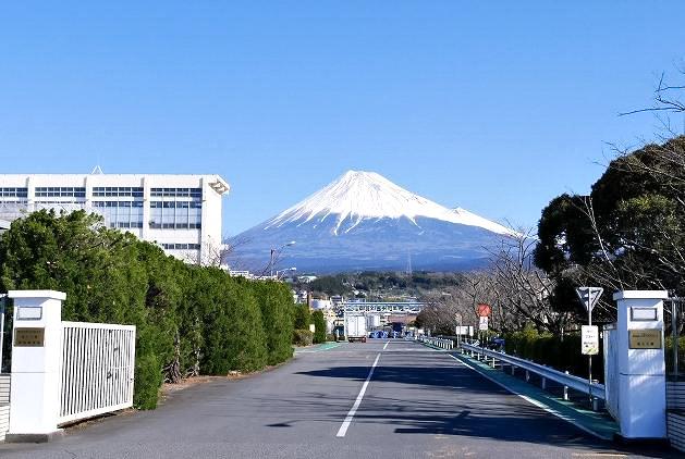 製品を容器に詰めるだけのシンプルワーク!
未経験から取り組める簡単なお仕事です◎