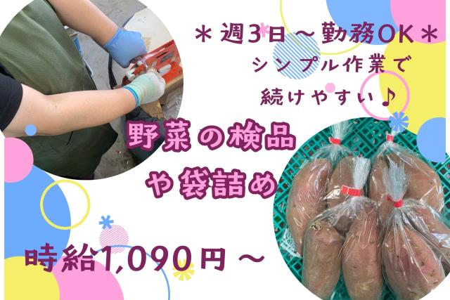 男女不問!服装自由
1日で覚えられるシンプル作業♪