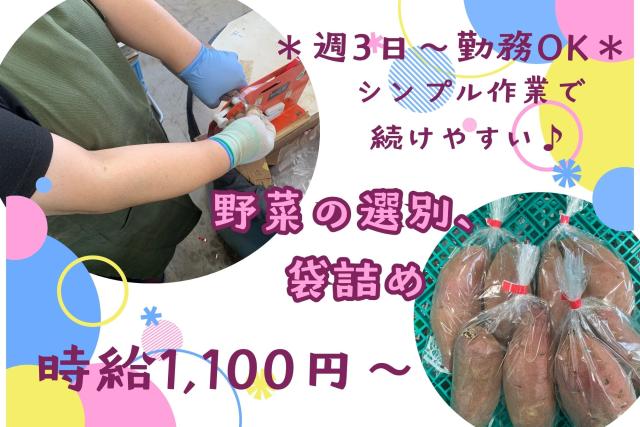 男女不問!服装自由
1日で覚えられるシンプル作業♪
