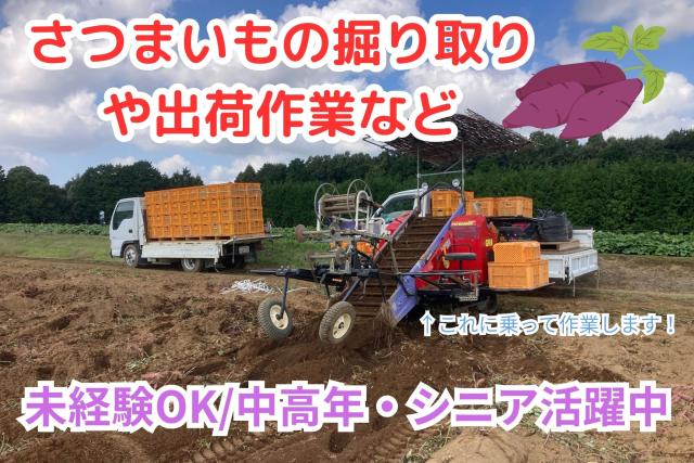 規格外のさつまいもの支給や休憩中のおやつなど、うれしいポイントあり♪