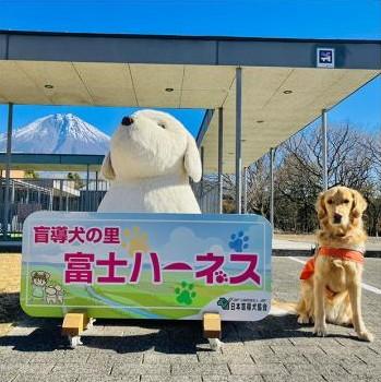夜間飼育スタッフ募集　盲導犬の育成を通じて社会に貢献できるお仕事です！盲導犬候補等の夜間飼育スタッフ