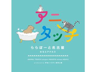 アニタッチ