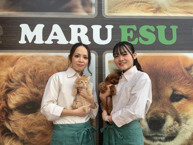 【ペットショップフロアスタッフ】◆広島市南区★未経験歓迎★週３日〜OK◎販売スタッフ