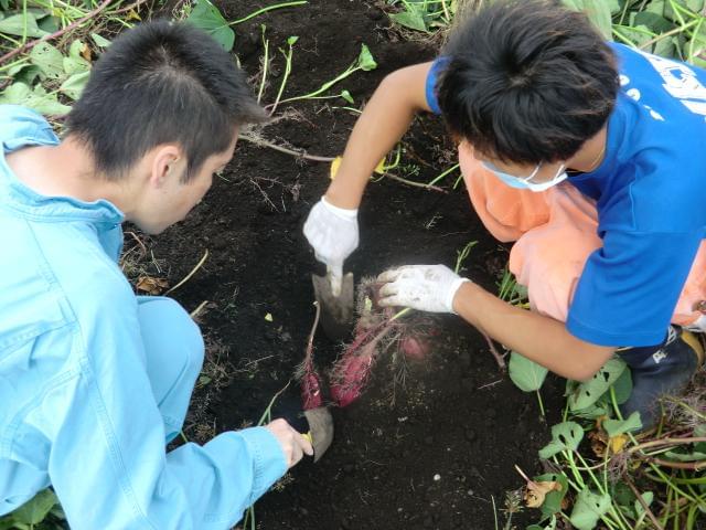 年齢不問＆シニア活躍中◎自然に触れ合うことが好きな方歓迎♪土日限定勤務＝時間を有効活用しませんか！養鶏・農園の運営補助スタッフ