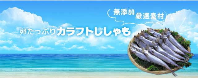 オフィスと現場をつなぐ、頼れる存在に。