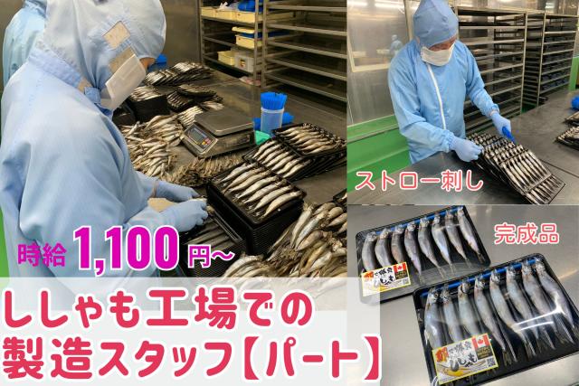 【パート】働き方はあなた次第！ししゃも製造に関わる　シンプル作業　未経験者OK/60歳以上歓迎◎ししゃもの製造スタッフ