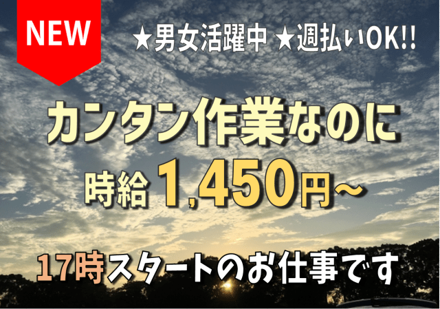 納得して働くことができる最適なお仕事をご紹介♪
みなさまの『働く』を全力でサポートします！