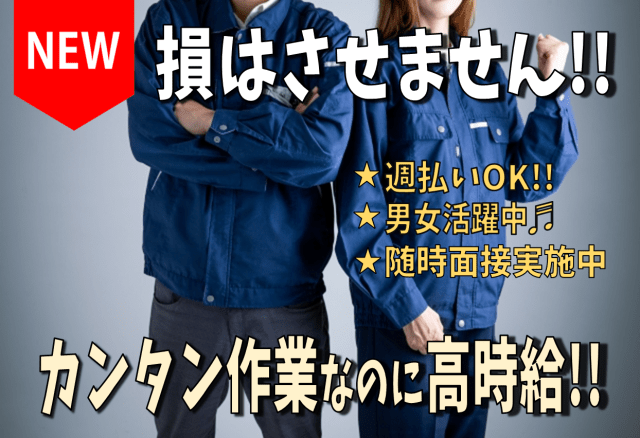 納得して働くことができる最適なお仕事をご紹介♪
みなさまの『働く』を全力でサポートします！