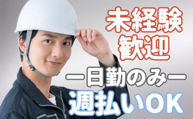 男女問わず20〜50代の幅広いスタッフが活躍中