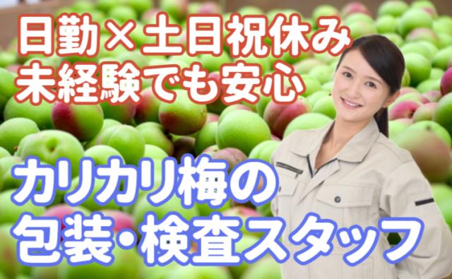 20〜40代の男女活躍中。分からないことも聞きやすい環境です♪