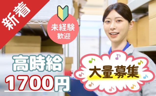 ＜大量募集＞ 仕分け・シール貼り/検品/梱包◇カンタン軽作業/週3日〜OK/３月スタート2ヶ月短期仕分け・シール貼り・検品/短期