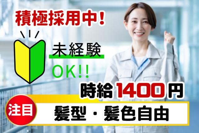 20代〜50代の未経験男女が活躍中◎