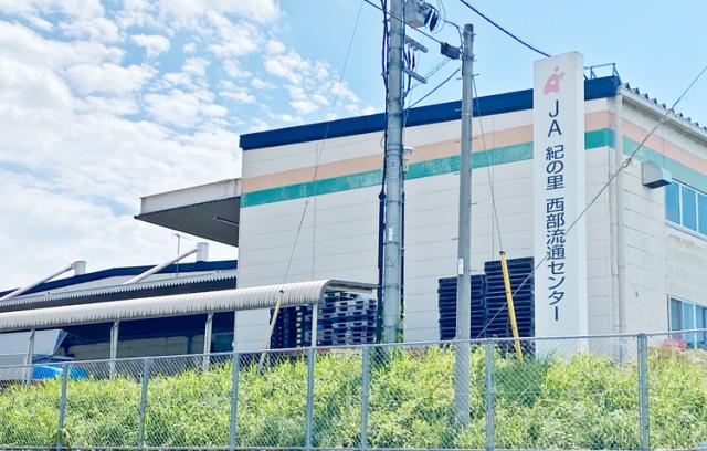 フリーターさん、主婦(夫)さん、育児中の方、
定年退職後の方…幅広い層の男女活躍中!!