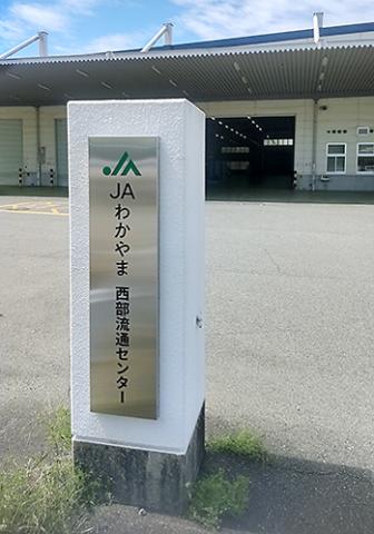 紀の川市／6月中旬〜8月中旬の【短期】桃の荷造り作業◆未経験OK！20〜70代男女活躍中！軽作業