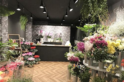 Cocohana ココハナ 町田店のアルバイト パート情報 イーアイデム 町田市のフロント 受付 フロア案内求人情報 Id A