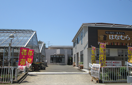 自宅への送り迎えお願いできますか？福祉施設送迎ドライバー利用者送迎ドライバー