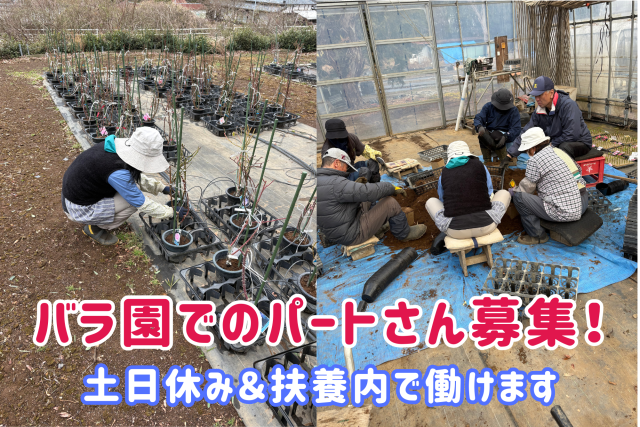 年齢・学歴不問!
家事などプライベートとのバランスを保てる好環境でぜひスタートを◎