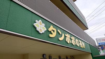 有限会社トモライヴ(タンポポの花)