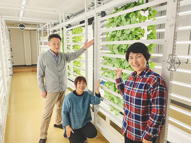 ソーシャルファーム　わーくはぴねす農園Plus　かながわ大和