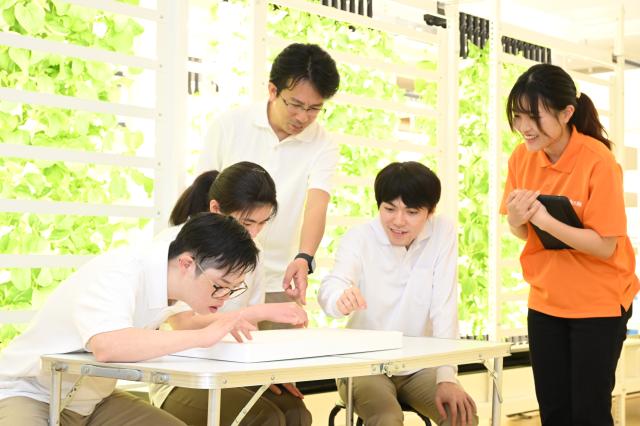 わーくはぴねす農園　東大阪第2ファーム