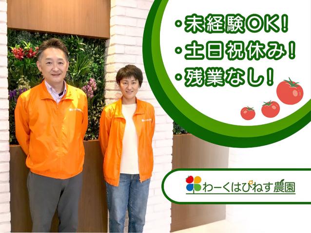 ソーシャルファーム　わーくはぴねす農園Plus　かながわ横須賀