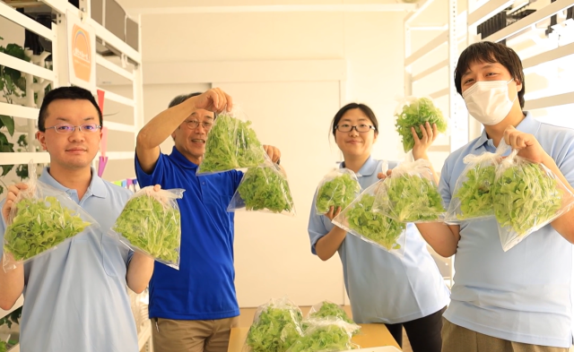 【未経験歓迎】50代〜60代が活躍★障がいのある方の野菜作りのサポート！福祉・野菜作り経験不問♪障がいのある方の就労サポートスタッフ