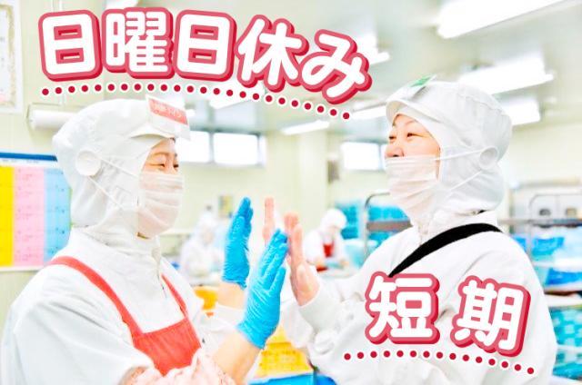 たくさんの仲間と一緒に楽しくお仕事。
2025年の最後にいい思い出をつくろう。