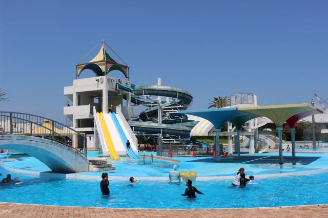 西条市スポーツ協会
