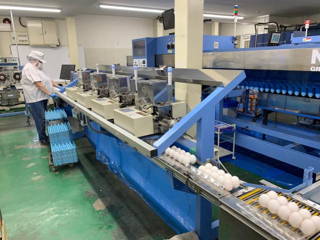 「新鮮・安全・おいしい」をモットーに業績を伸ばしている安定企業です。安心・安全な卵を食卓に!
□ 未経験からスタートOK♪
□ 車通勤OK♪