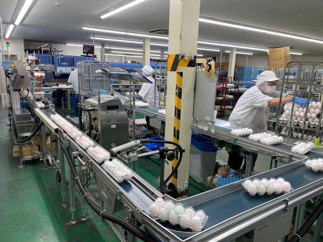 丸ト鶏卵販売株式会社　神奈川工場